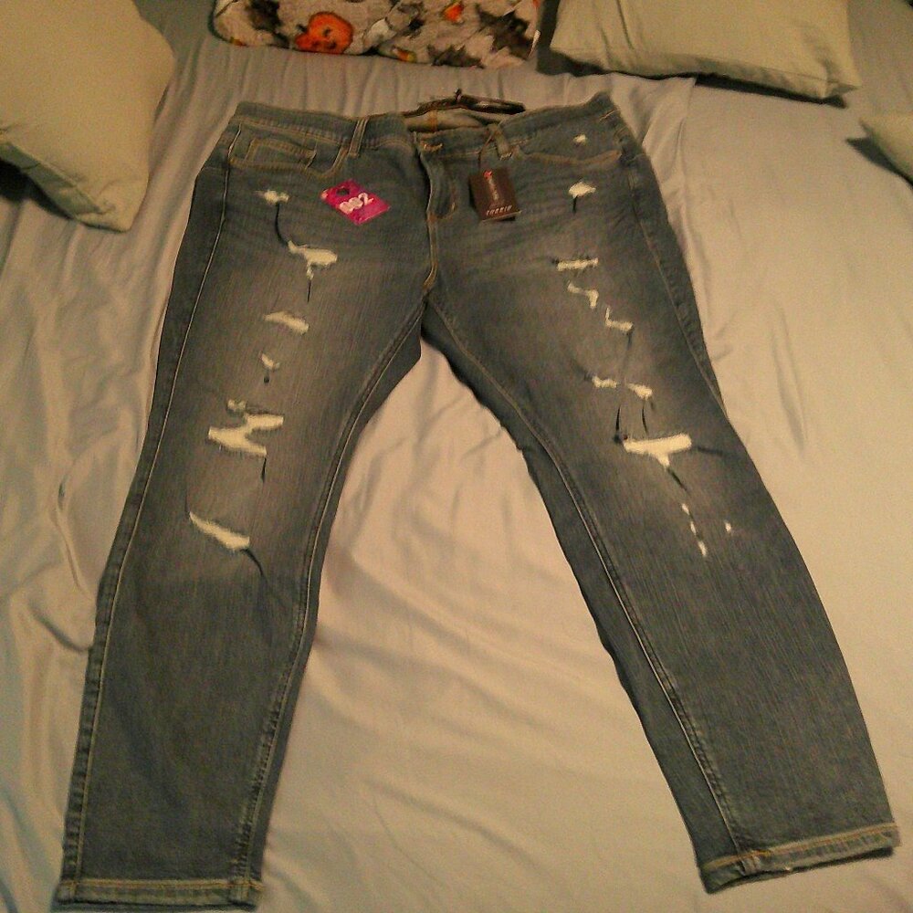 Torrid Bombshell Skinny Jean 22s